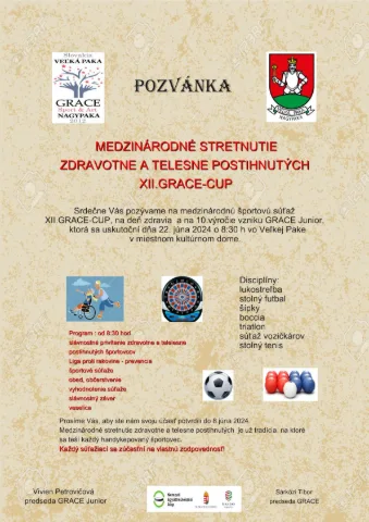 Nemzetközi egészségkárosultak és mozgáskorlátozottak találkozója - Nagypaka